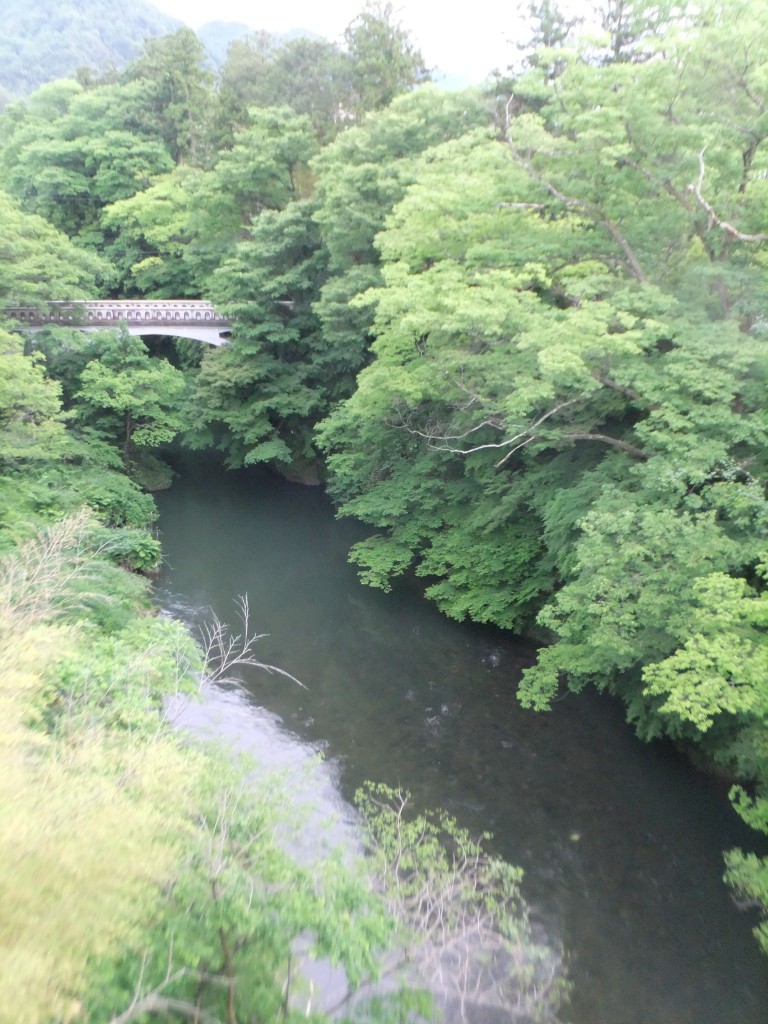 DSCF0895