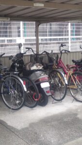 平たいまだらの何かが・・・