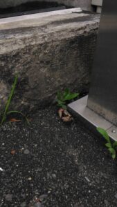 何故此処に居る