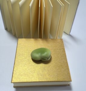 文政堂の豆ほん（御朱印帳的）